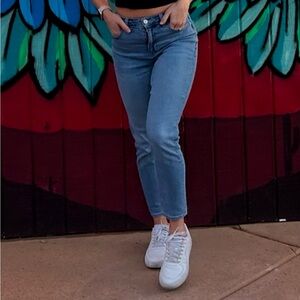 American Eagle Mom Jean